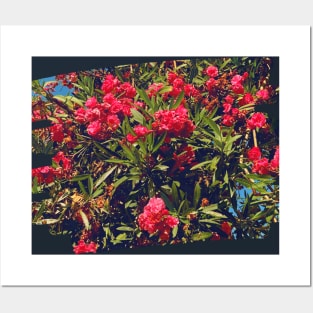 Pretty Red Flower with green leaves nature lovers beautiful photography design Posters and Art